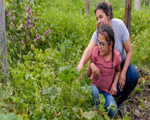 冷冻胚胎保存多久合适？解冻成功率揭秘